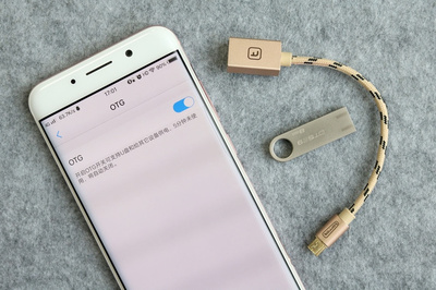 手機不支持插存儲卡？不怕，有OTG線的“優美”幫忙